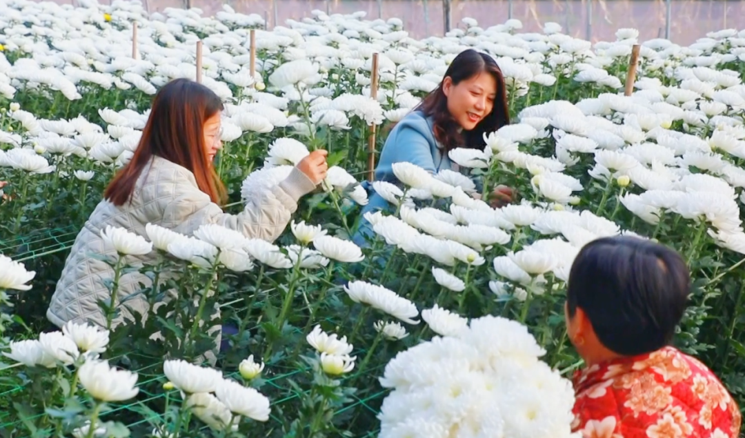 �F�ǅ^(q��)���ջ������M(m��n)�ء���