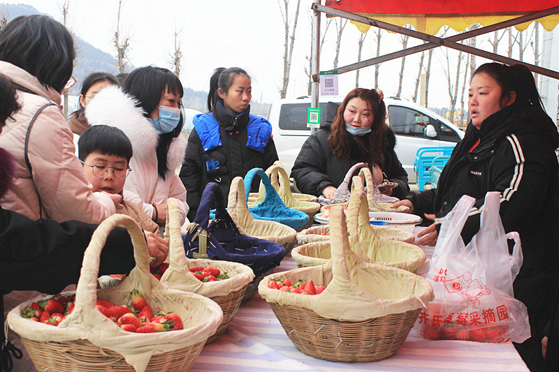 ��ݮ�h��c�´� | ���f�(zh��n)��ɽ�ڲ�ݮ��ժ��Ȥ���������w�(y��n)�e����ζ